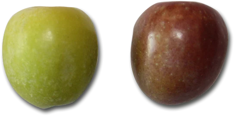 Arbequina