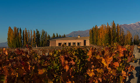 Bodegas Salentein
