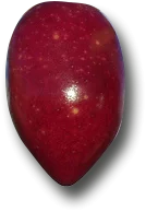 Cornicabra