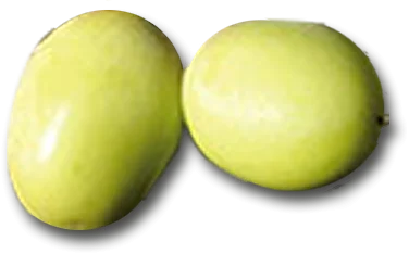 Hojiblanca